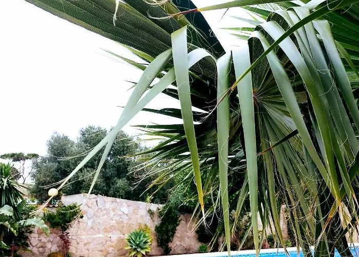 Villa Lola 14