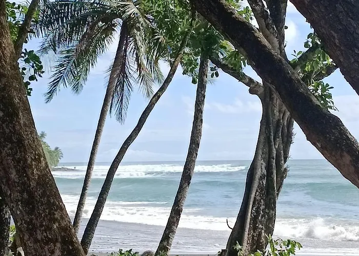 Il Delfino