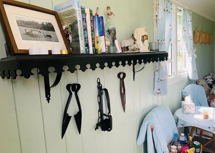 Bells Meadow Shepherds Hut