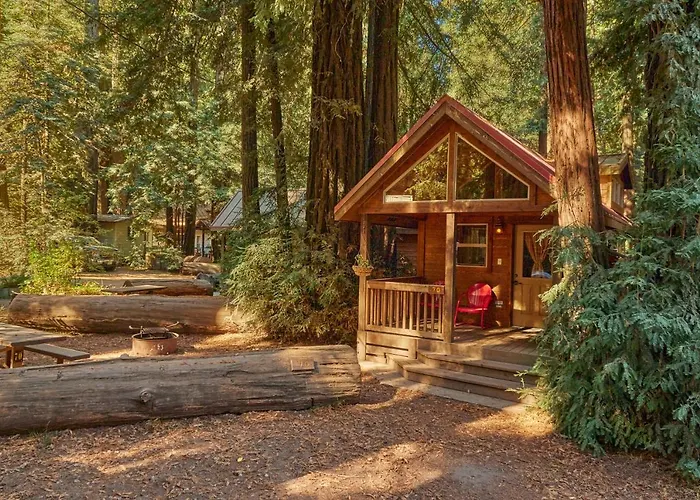 Big Sur Campground And Cabins