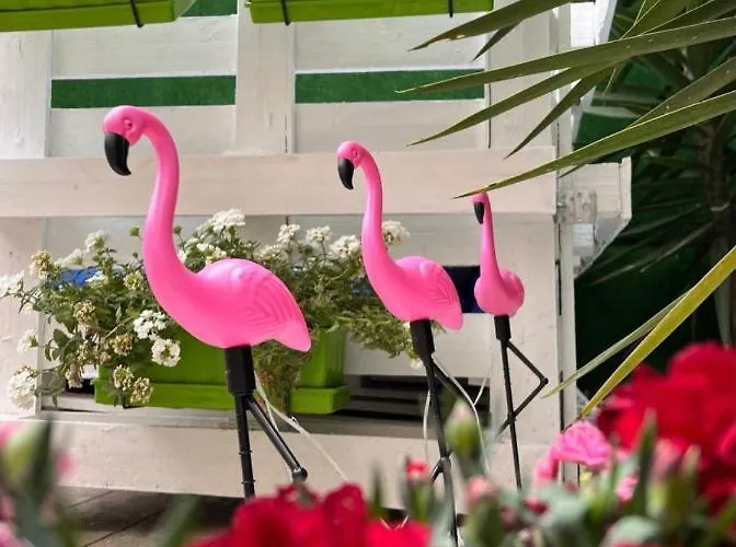 Casa Flamingo