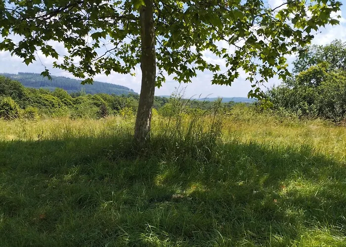 Caravan Miekie Camping La Foret Du Morvan