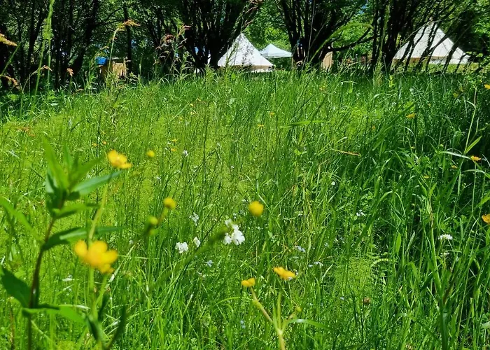 Route 47 Glamping Bell Tents