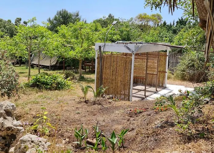 Campeggio Bungalow Darwin