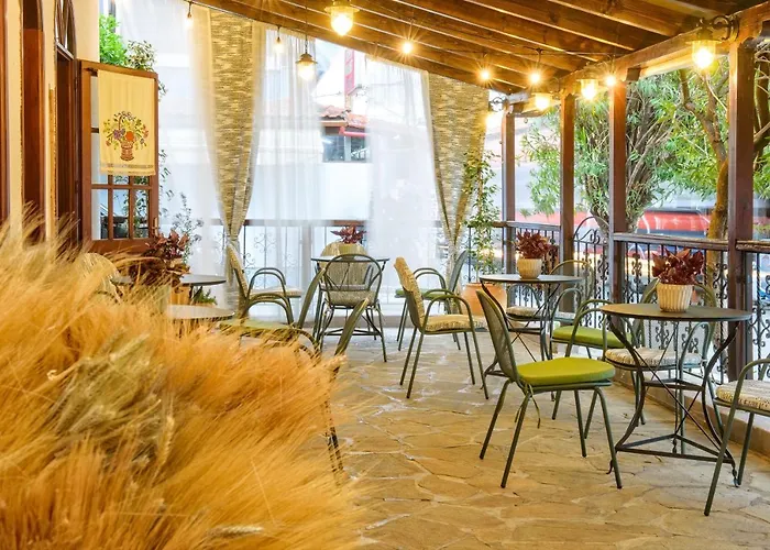 Hotel Theopisti
