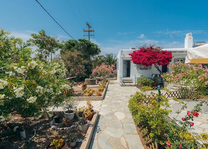 Nostos Sifnos
