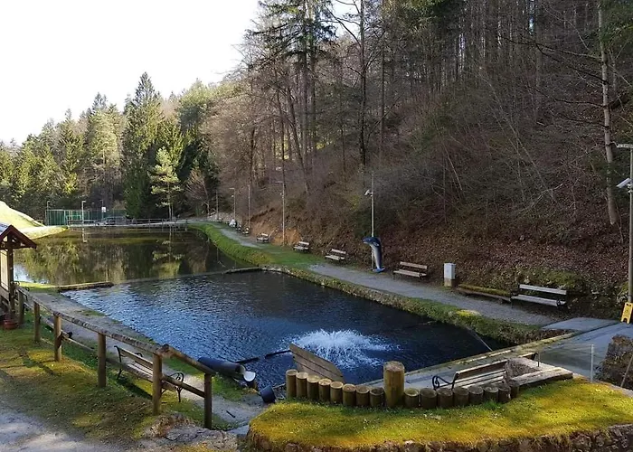 Glamping - Kamp Steska