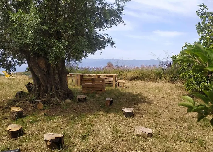 Agriturismo Sant'Anna Orti In Oliveta Biologica Con Vista Sullo Stretto Di Messina