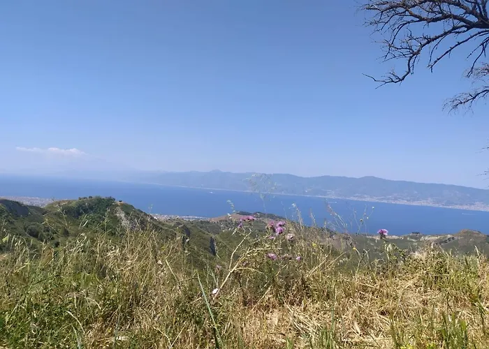 Agriturismo Sant'Anna Orti In Oliveta Biologica Con Vista Sullo Stretto Di Messina