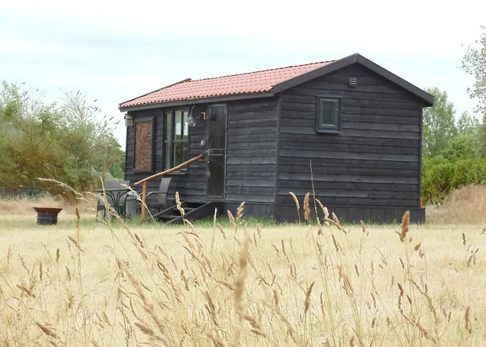 The Cabin