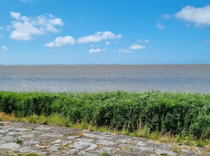 Camping Zeezicht Verhuur Chalet Aan Zee