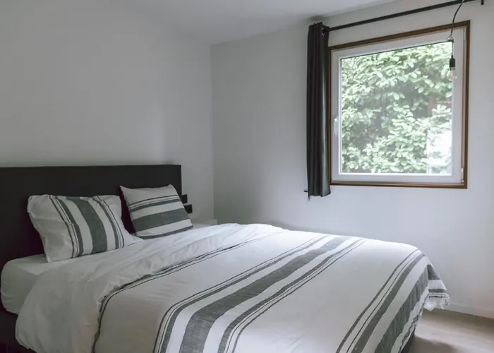 Imagine Tiny House 325 Op Camping Gt Te Balen