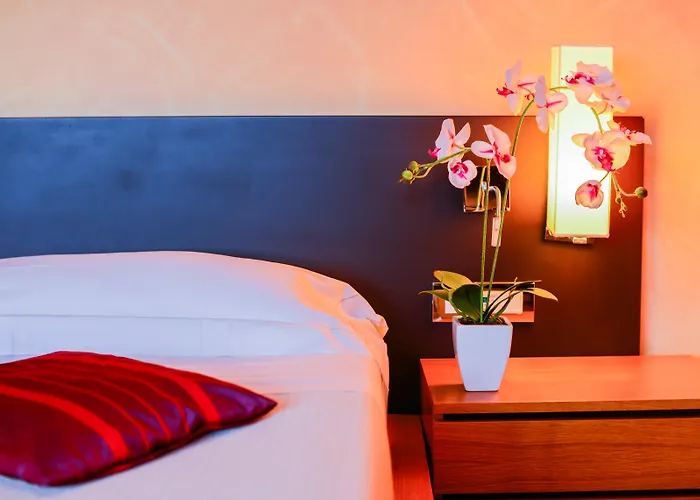 Ahg Donna Silvia Wellness Hotel