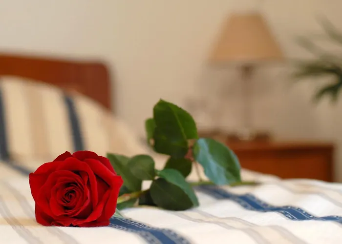 Hotel Rosina