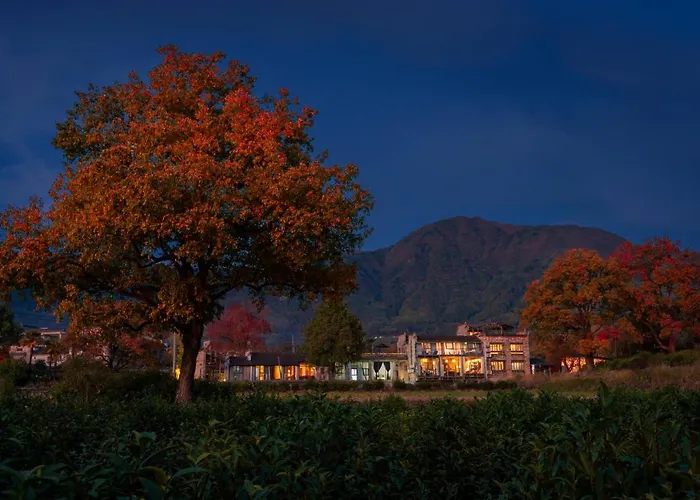 Alina Garden Boutique Resort - Huangshan Scenic Area