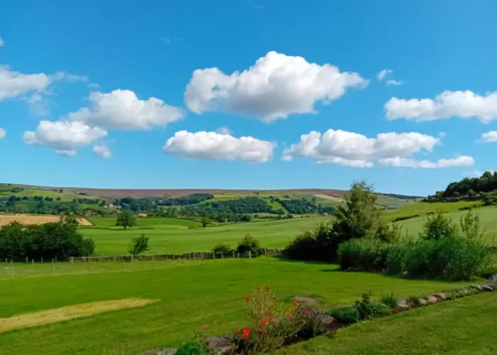 Coombs Glamping Pods