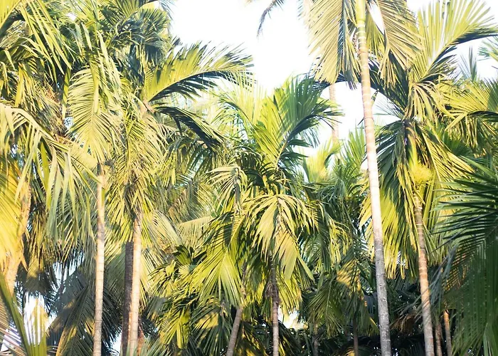Sk Resort