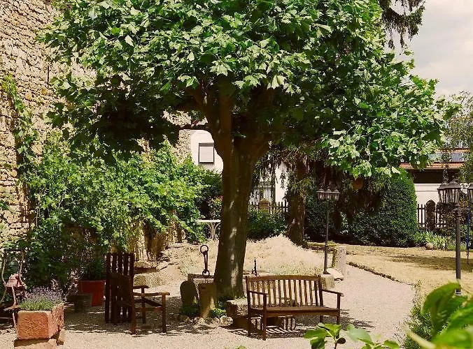 Urige Schlaffässer im Winzergarten inklusive Weinprobe