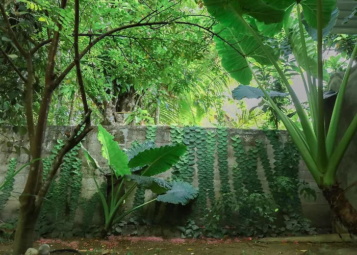 Shady Cottage