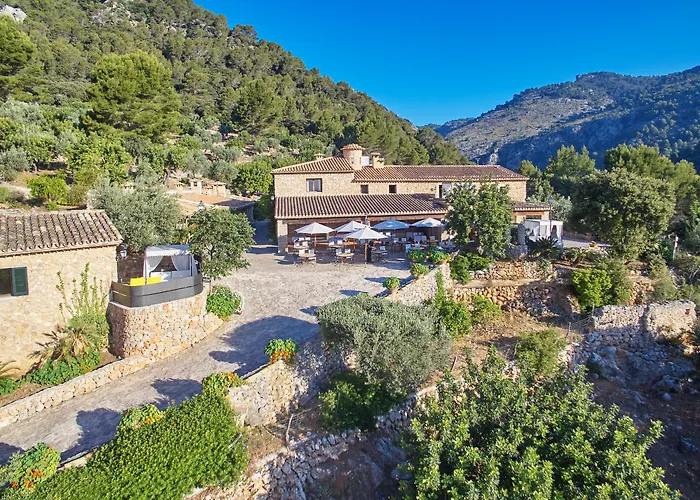 Finca Albellons