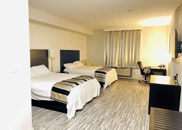 Eod Surestay Plus By Best Western Leduc Edmonton Airport