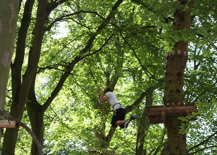 Woody Park