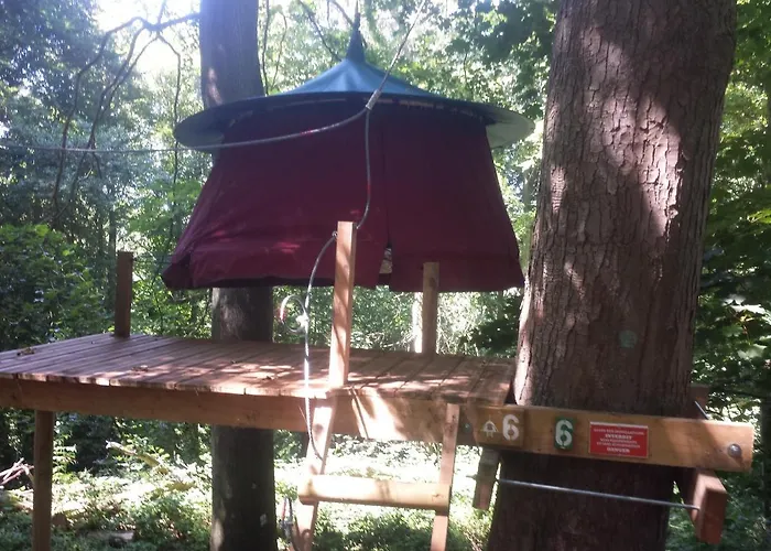 Woody Park