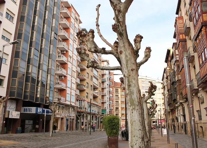 Hotel Los Bracos