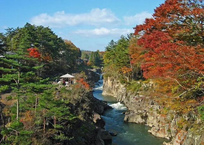 Kajitsu No Mori - Vacation Stay 53784V