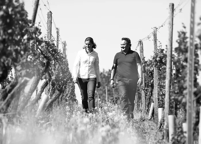Weingut Matthias Dostert / Culinarium