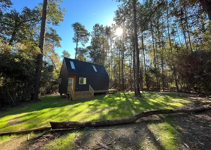 Stay In Babia - Luxury Cabins - Sam Houston National Forest