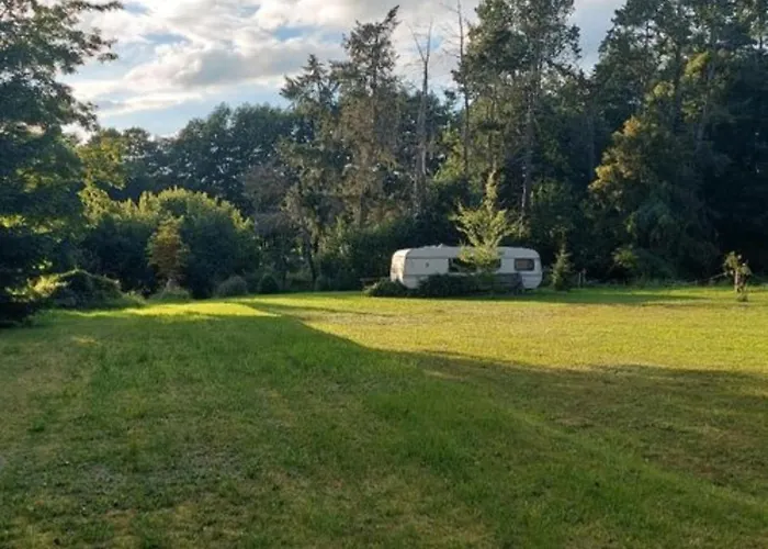 Camping Müritz Nationalpark - Wohnmobilstellplatz in der Mecklenburgischen Seenplatte Strom&Wasser vor Ort