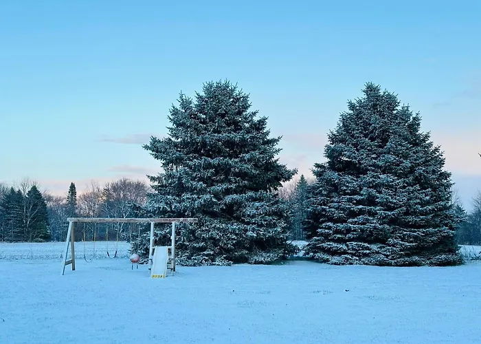 Super 8 By Wyndham Imlay City