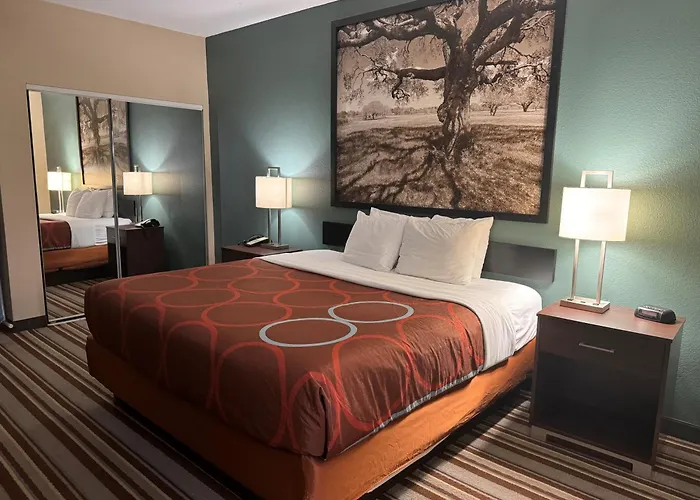 Super 8 By Wyndham Port Arthur/Nederland Area