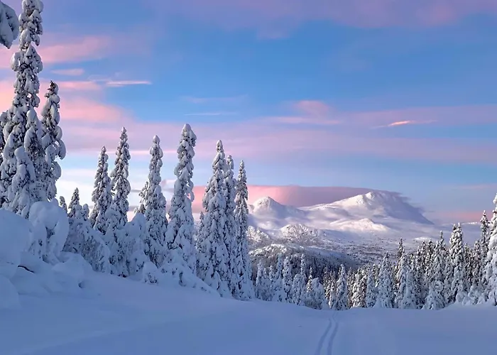Tuddal Hoyfjellshotel