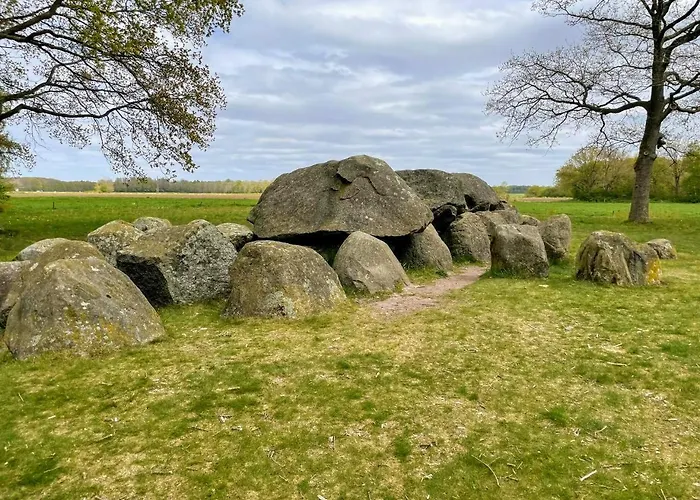 Stacaravan Il Piccolo Nido In Bosrijke Omgeving, Rust & Natuur In Drenthe