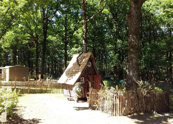 Camping Oaki