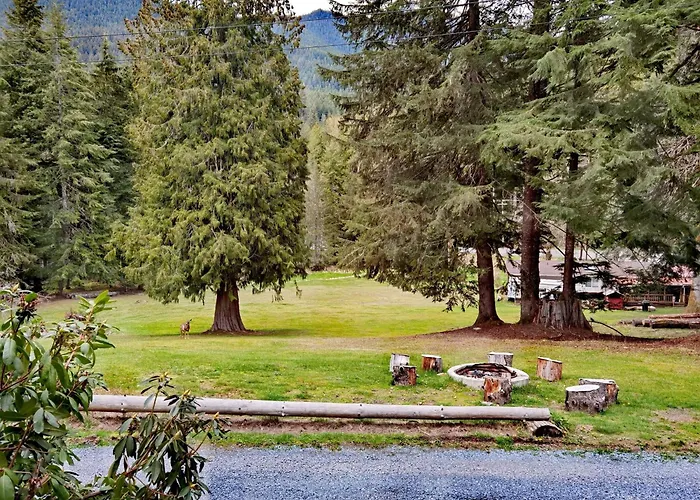 Large Lodge At Rainier Lodge