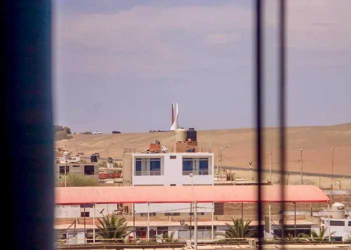 Las Gaviotas De Paracas
