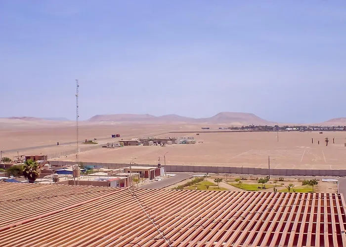 Las Gaviotas De Paracas