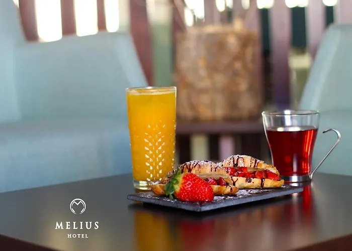 Hotel Melius