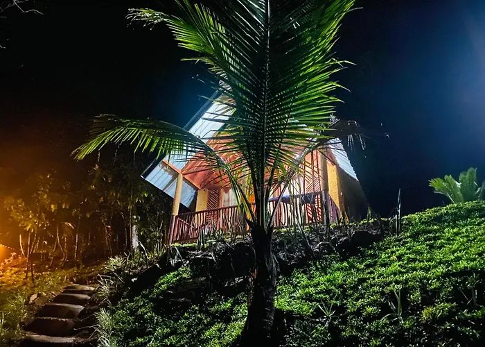 The Rainforest Hideaway