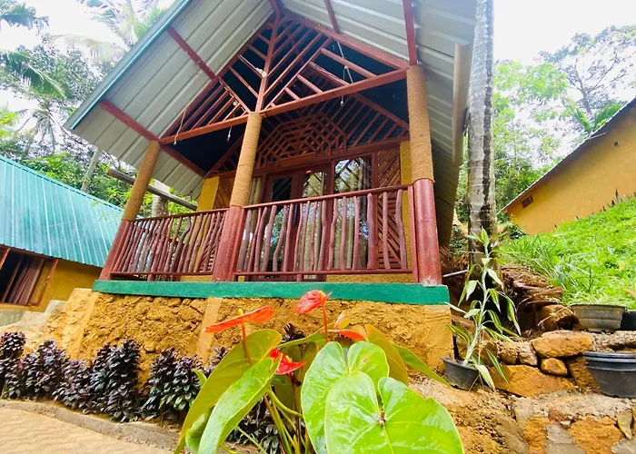 The Rainforest Hideaway