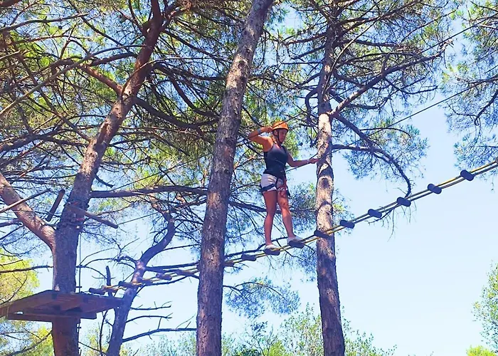 Agricampeggio La Pineta