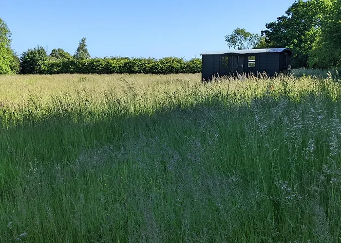 Blue Sky Huts