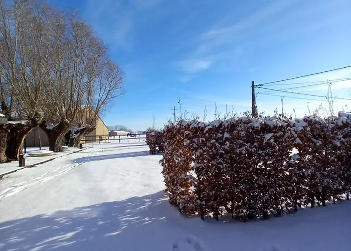 Camping des Saules