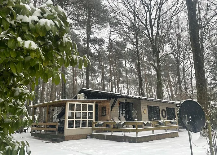Chalet Sint