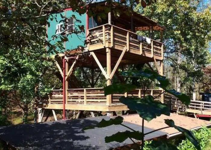 Treehouse At Castle