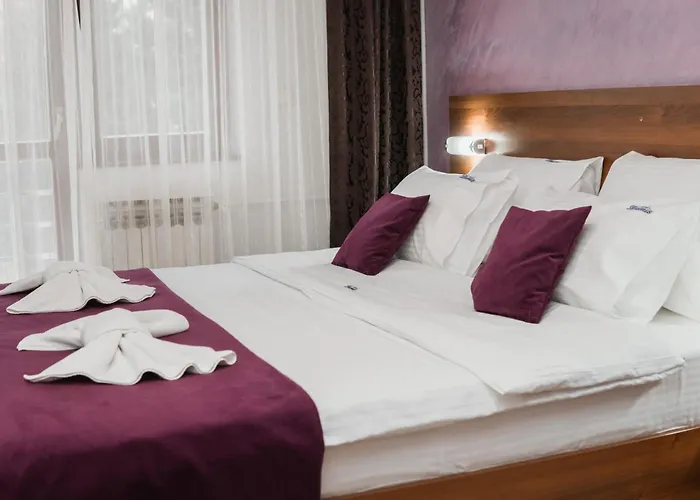 Hotel Damis