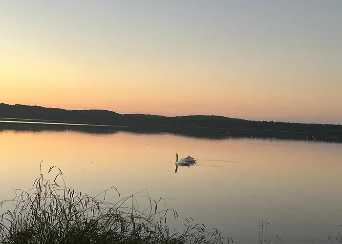 L'Odyssee